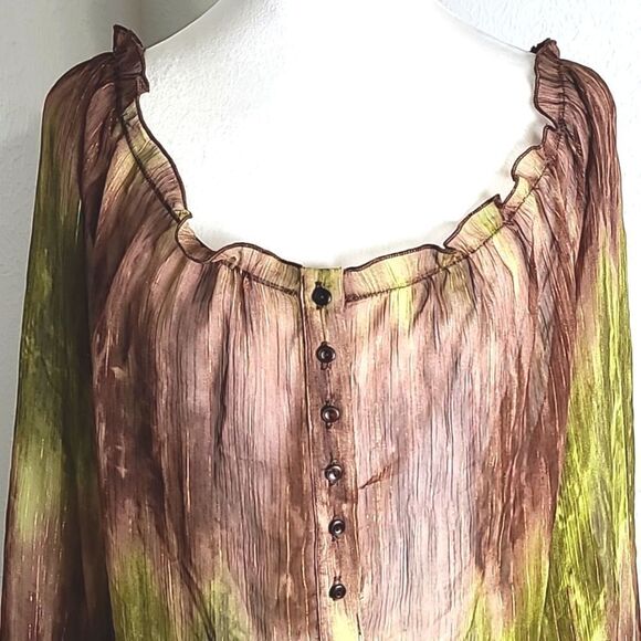 Lane Bryant Sheer Ombre' Blouse, Browns & Greens, Gold Striped Lines, Size 14/16 - Picture 3 of 7